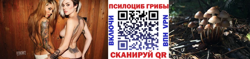 Купить  Коряжма  Псилоцибиновые грибы MAGIC MUSHROOMS 
